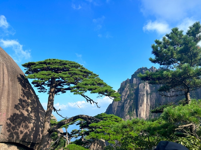 【在中国空间站怎样研究“生环材”】图2